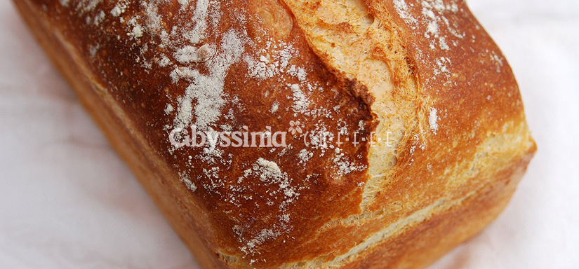 Panini Bread
